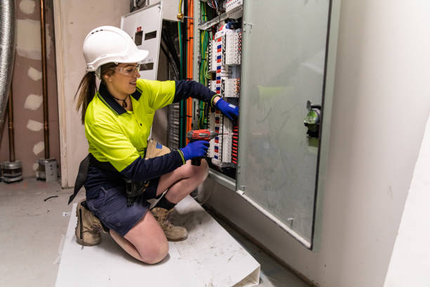 Best Generator Installation Services  in Chena Ridge, AK